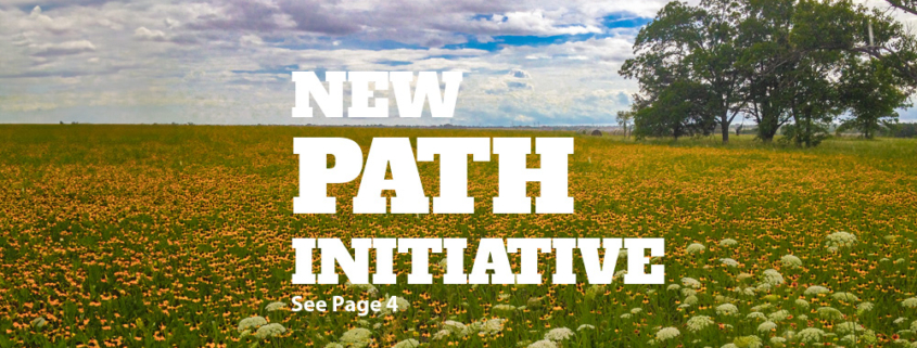 New Path Initiative