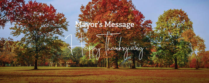 1225 A grove of trees with fall colors.