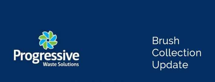 Progressive Brush Collection