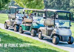 Line of Golf Carts at a Golf Course